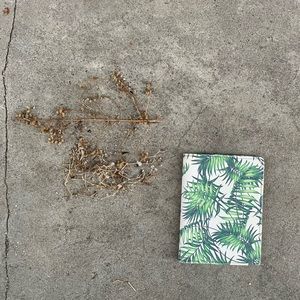 Palm Tree Leaf Pattern Faux Leather Passport Holder